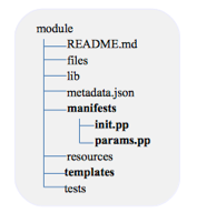 Fig. 1 Structura unui Modul Puppet